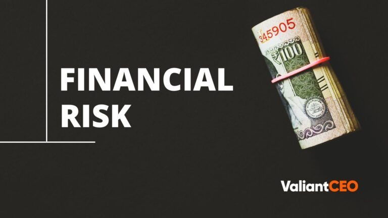 Financial Risk - Updated 2021