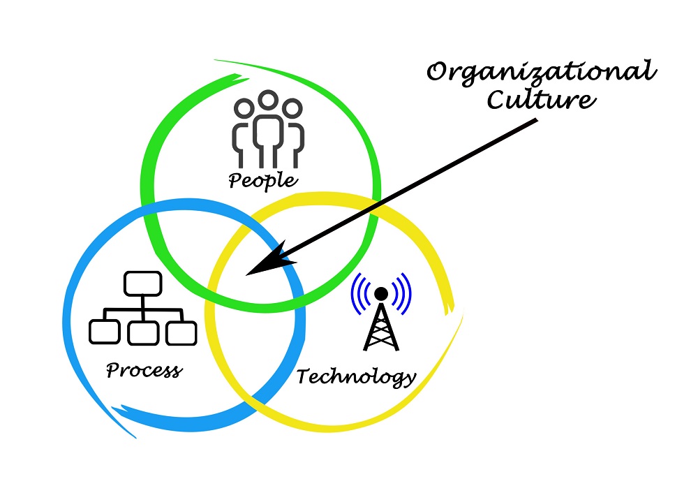 Organizational Culture