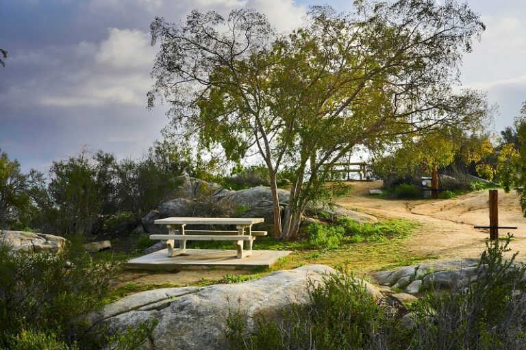 Picnic Table