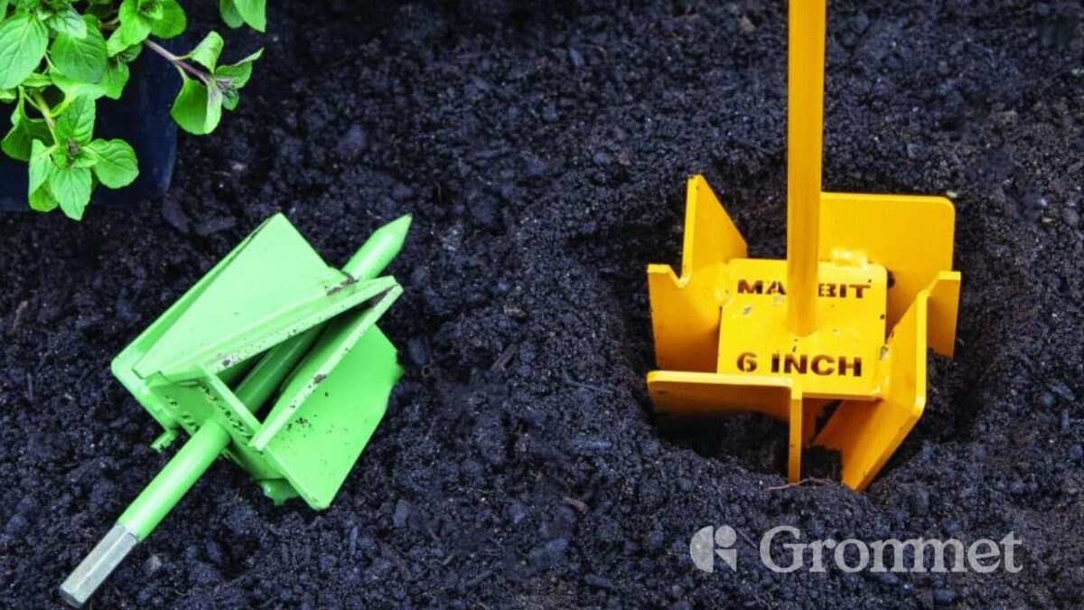 From Single Mom to Gardening Innovator: How Dr. Michele Morgan Is Helping Green Thumbs Everywhere with The MaxBit