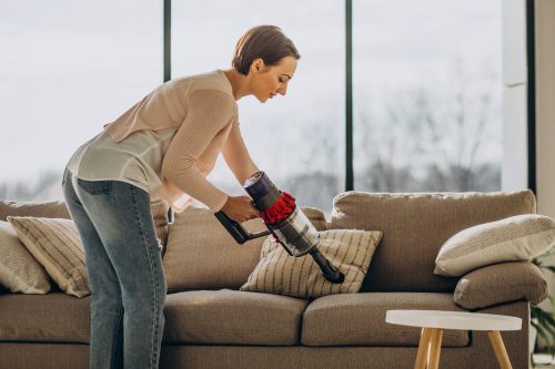 Cleaning Sofa