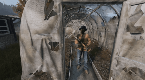 Beginner Tips for DayZ