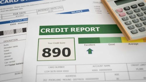 Credit Report
